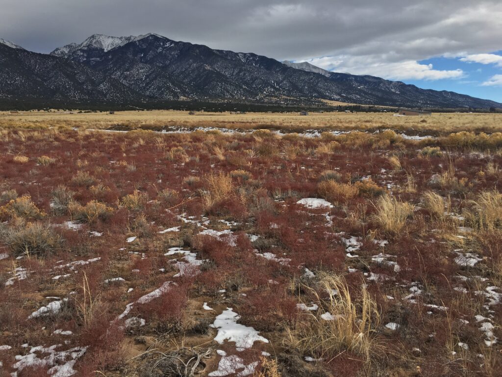 3.97 Acres near Crestone, Saguache County CO