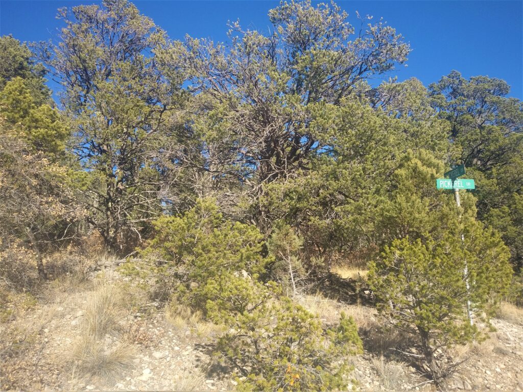 0.4 acre in Timberon, Otero County, NM