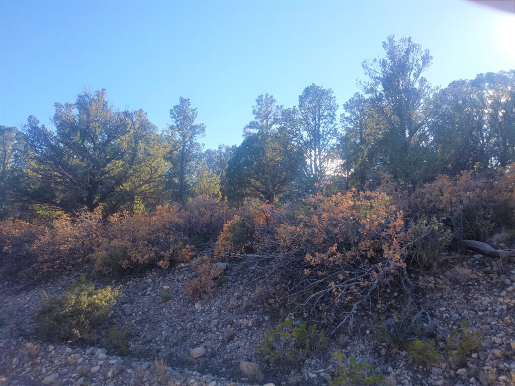 0.41 acre in Otero County, NM