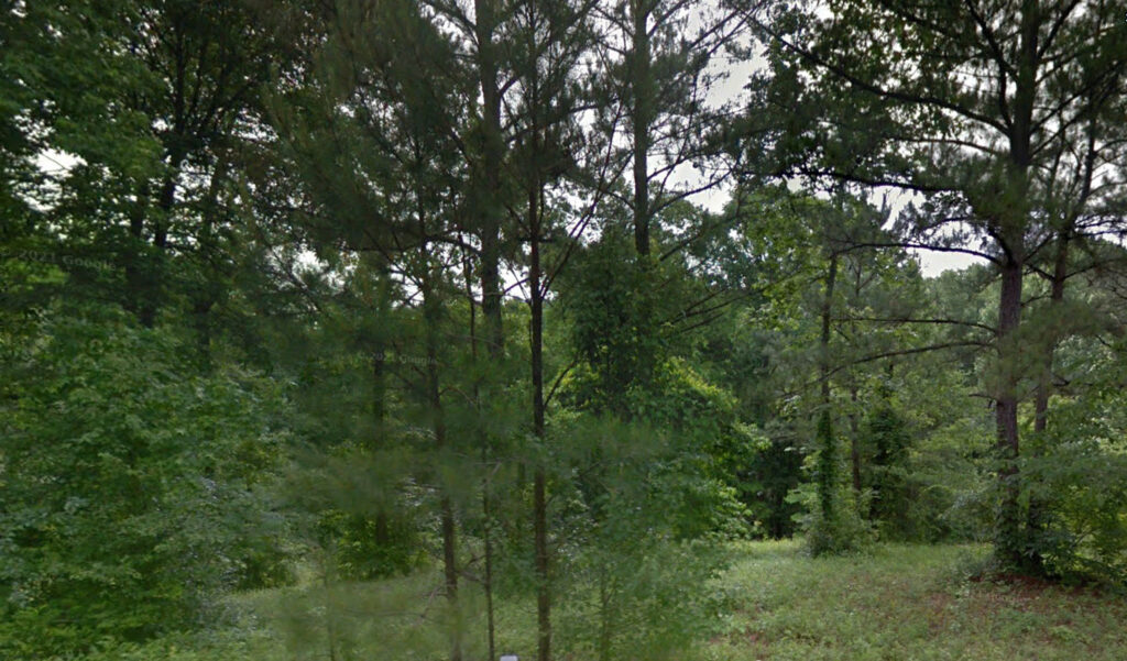 Half acre in Talladega County, AL